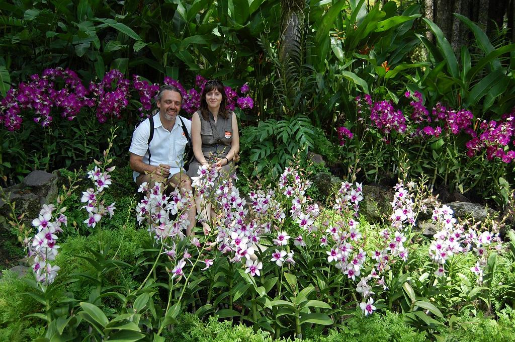 2008-10-09_052809_0214.jpg - Wycieczka objazdowa - ogród botaniczny - National Orchid Garden