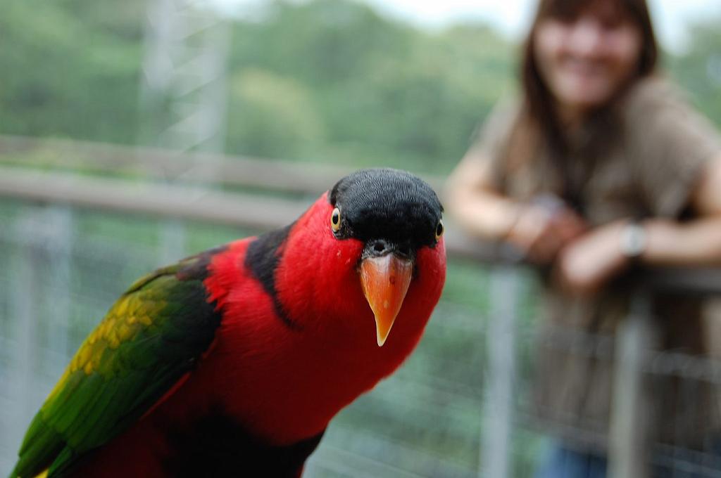 2008-10-09_094924_0251.jpg - Lory i Agata w tle