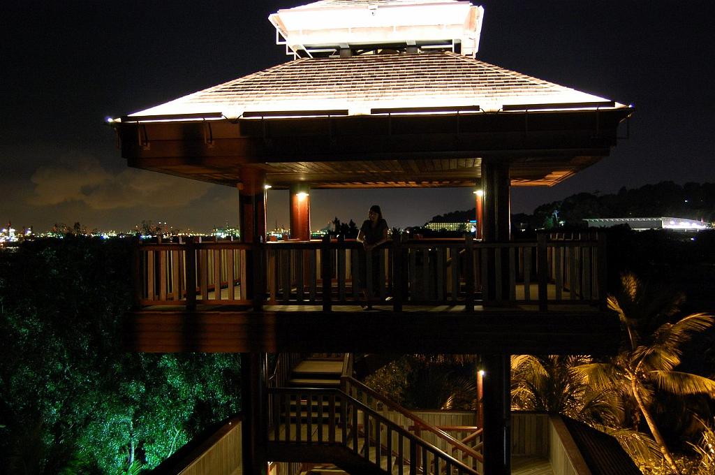 2008-10-09_172722_0334.jpg - Singapur nocą - wycieczka na Sentosę - sami na wyspie