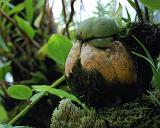 2008-10-09_052014_0208